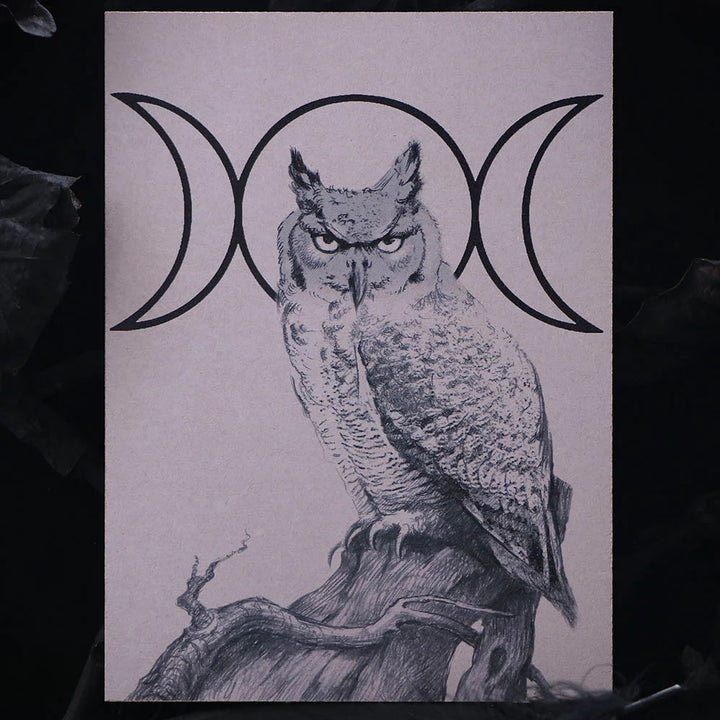 Is the Owl a Symbol of Hecate? History and Modern Meaning
