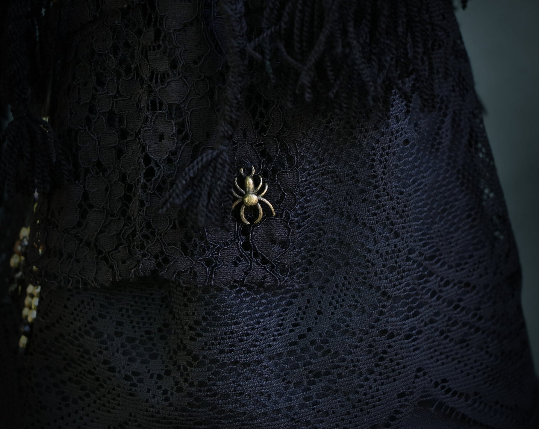 May include: Black lace fabric with a gold spider brooch.