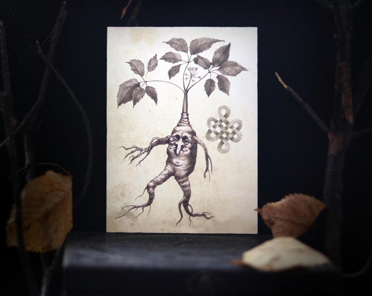 MANDRAKE ROOT art for home altar - Halloween Wall Art Decoration - print on wooden board - 7x5 inches or 18x13cm