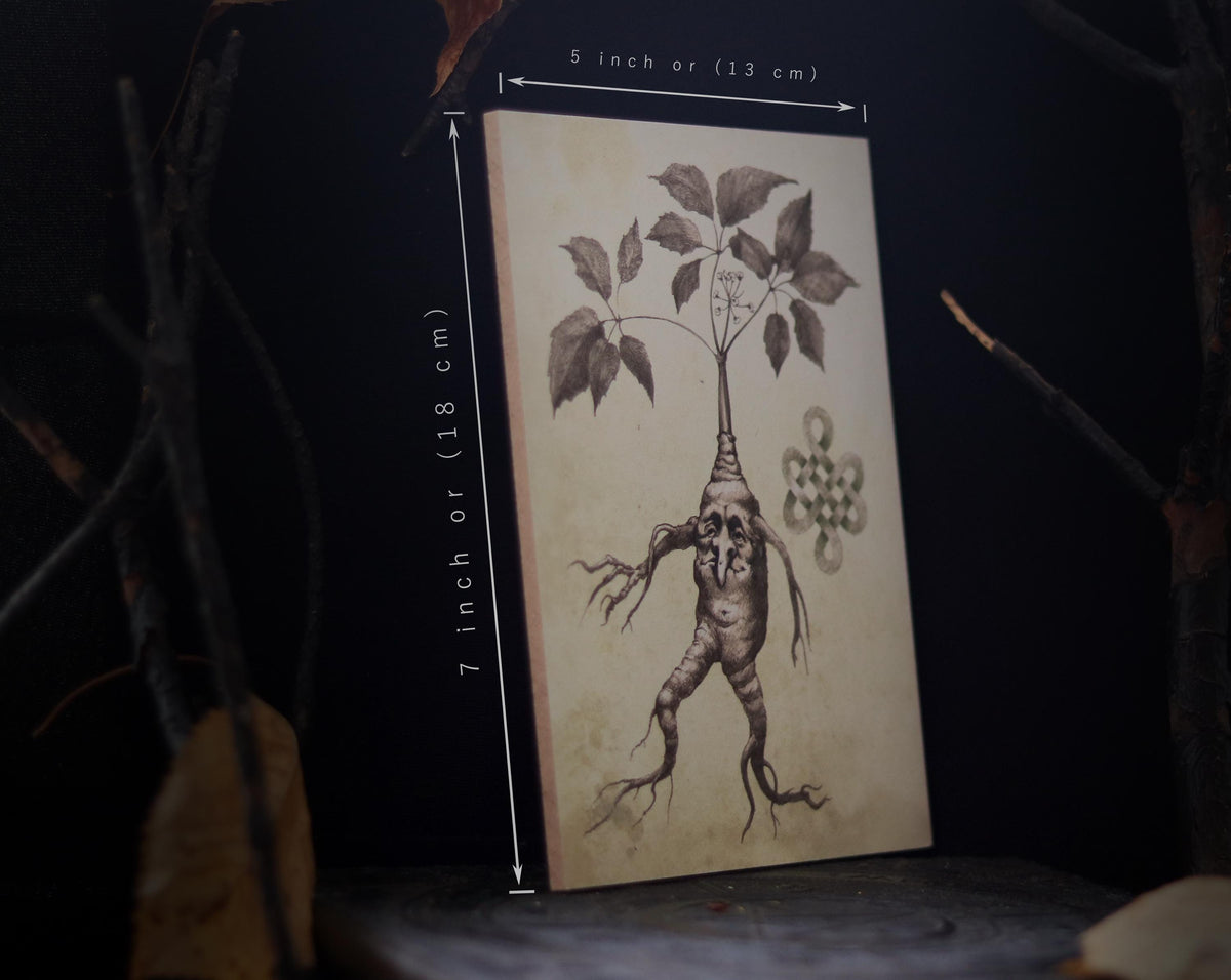 MANDRAKE ROOT art for home altar - Halloween Wall Art Decoration - print on wooden board - 7x5 inches or 18x13cm