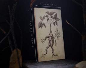MANDRAKE ROOT art for home altar - Halloween Wall Art Decoration - print on wooden board - 7x5 inches or 18x13cm