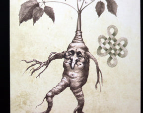 MANDRAKE ROOT art for home altar - Halloween Wall Art Decoration - print on wooden board - 7x5 inches or 18x13cm