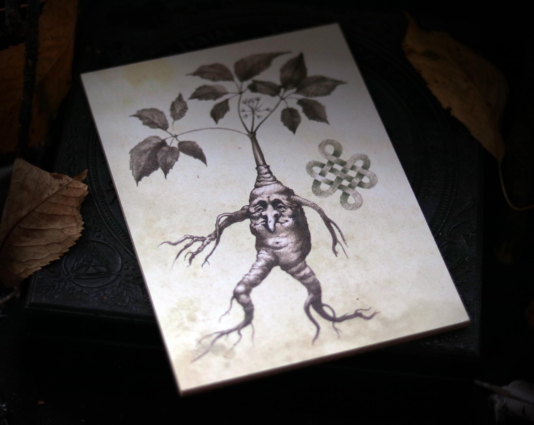 MANDRAKE ROOT art for home altar - Halloween Wall Art Decoration - print on wooden board - 7x5 inches or 18x13cm