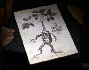 MANDRAKE ROOT art for home altar - Halloween Wall Art Decoration - print on wooden board - 7x5 inches or 18x13cm