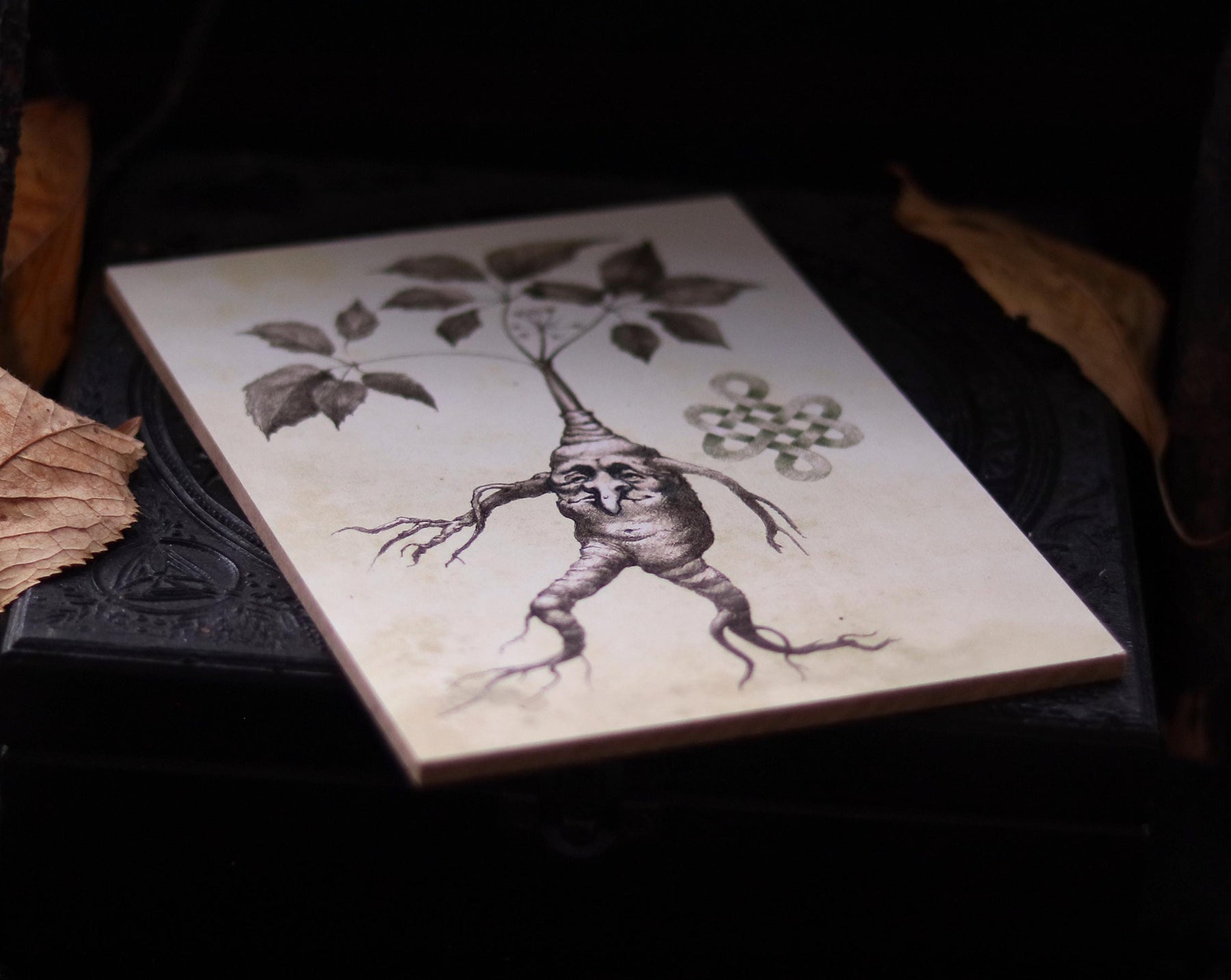 MANDRAKE ROOT art for home altar - Halloween Wall Art Decoration - print on wooden board - 7x5 inches or 18x13cm