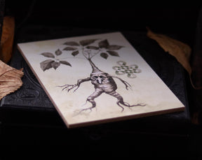 MANDRAKE ROOT art for home altar - Halloween Wall Art Decoration - print on wooden board - 7x5 inches or 18x13cm