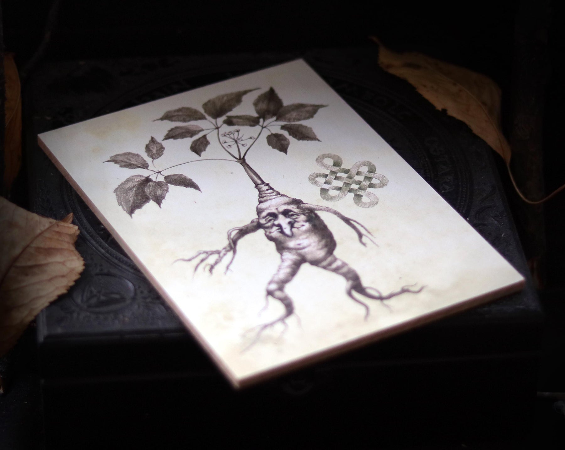 MANDRAKE ROOT art for home altar - Halloween Wall Art Decoration - print on wooden board - 7x5 inches or 18x13cm